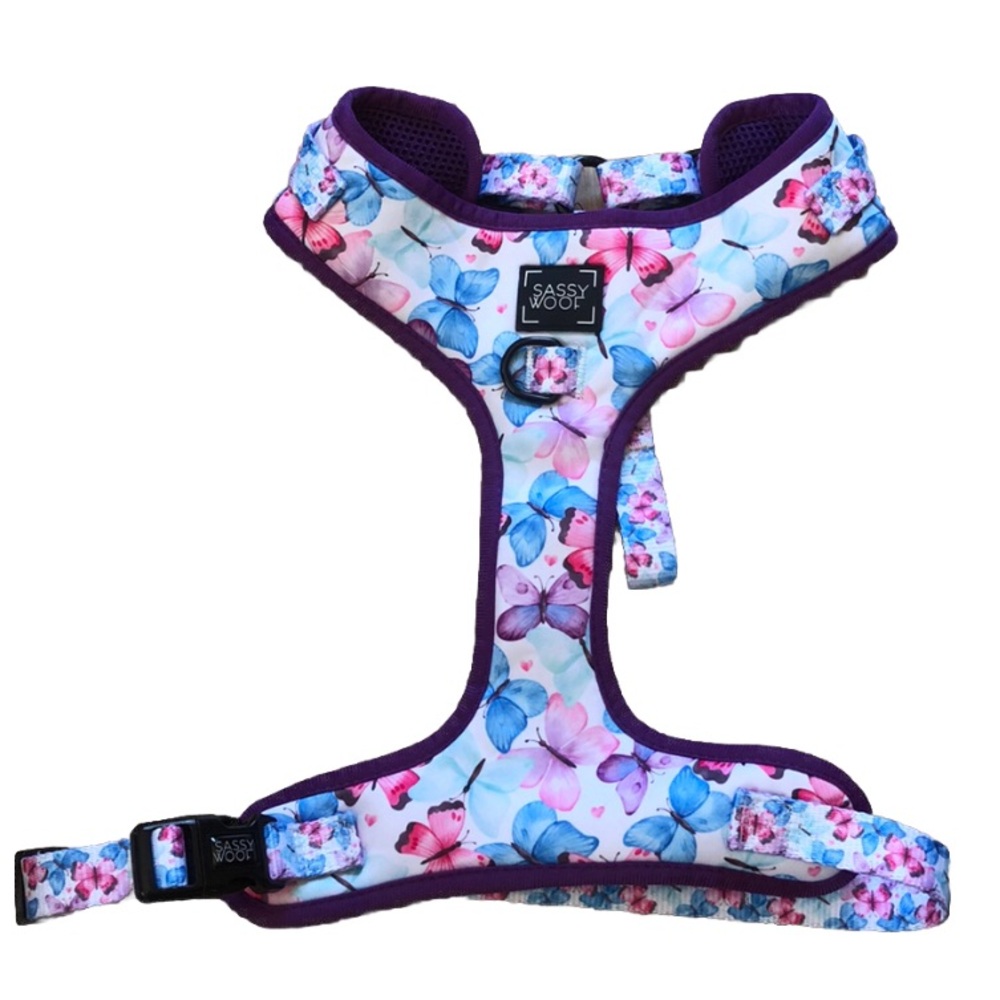 Sassy wolf size large for small dogs butterfly harness